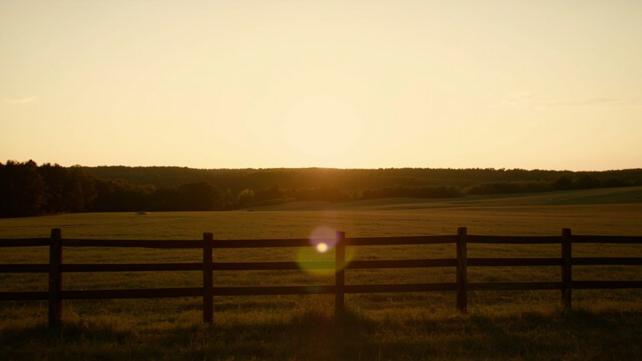 Open agricultural land near Manassas National Battlefield Park with wooden fence and new-growth trees at sunset