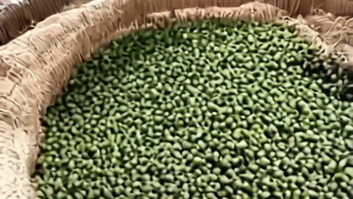 Green arabica coffee beans are scooped from a jute sack at a São Paulo broker's warehouse under fluorescent light