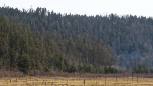 Smoke rises from a wooded hillside on private land in Siskiyou County under an overcast April sky