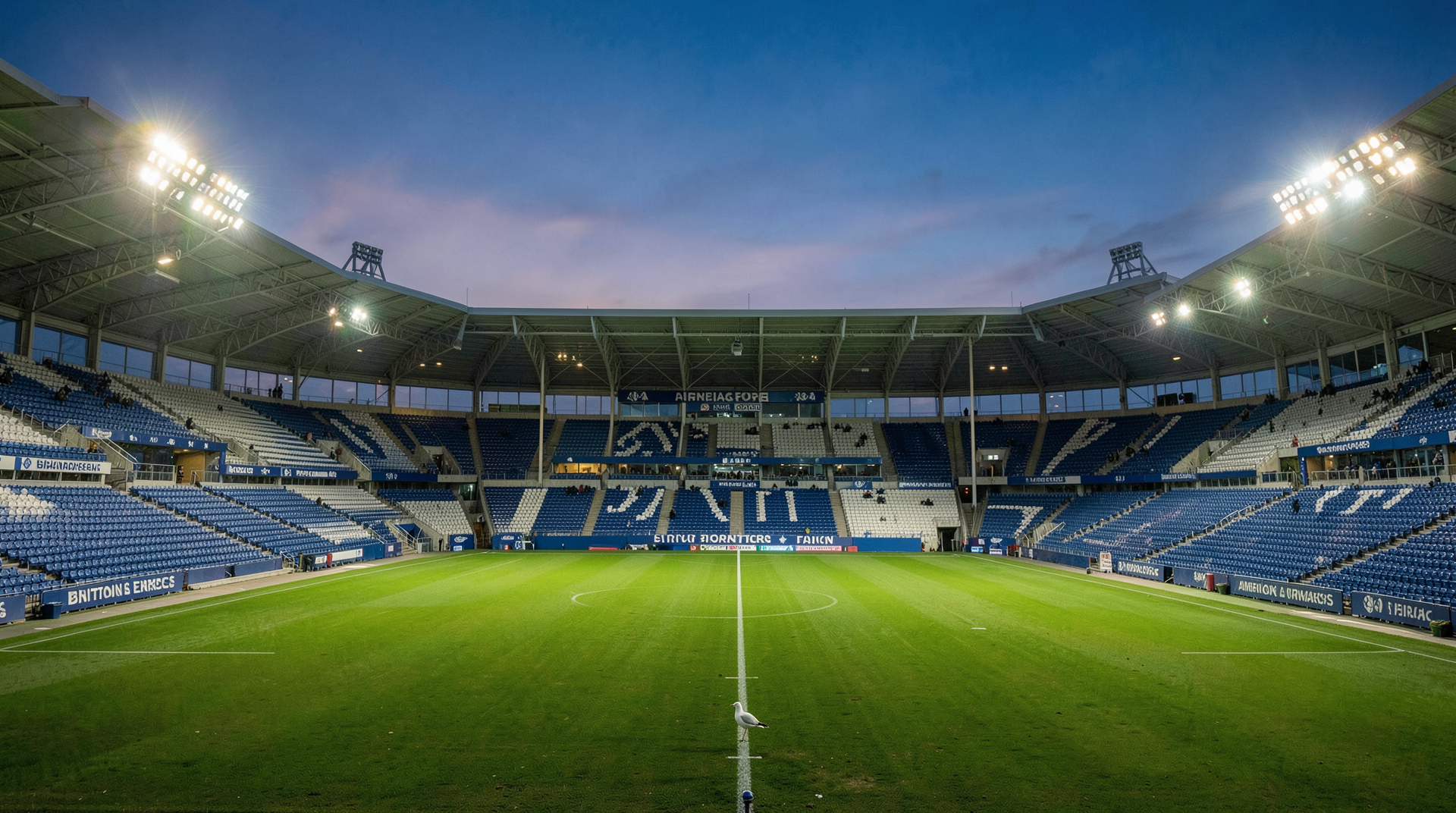 American Express Stadium at Falmer under floodlights with Brighton seagull badge visible