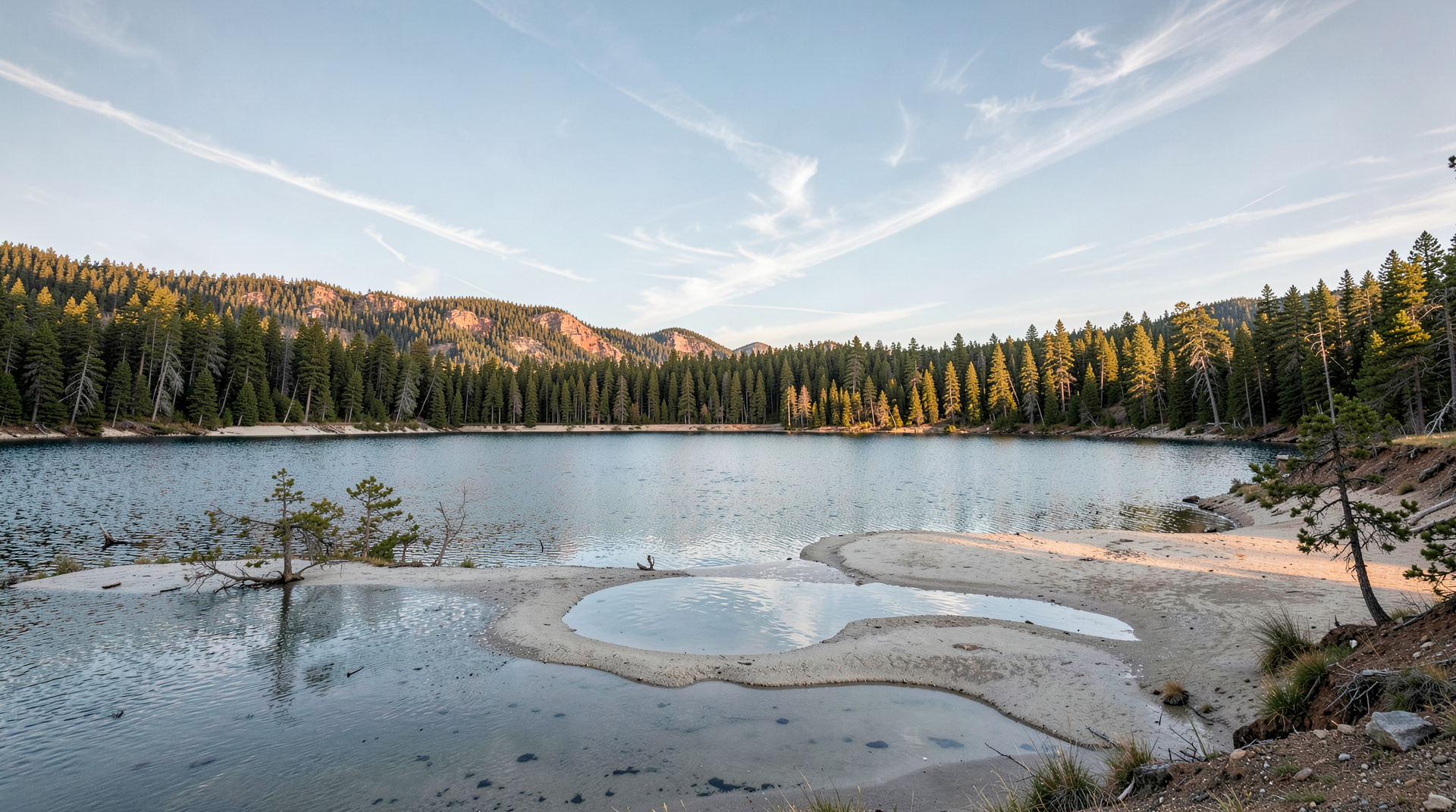 Flaming Gorge Reservoir at a drawdown watermark line, exposed light-colored shoreline in April sun with pine forest behind