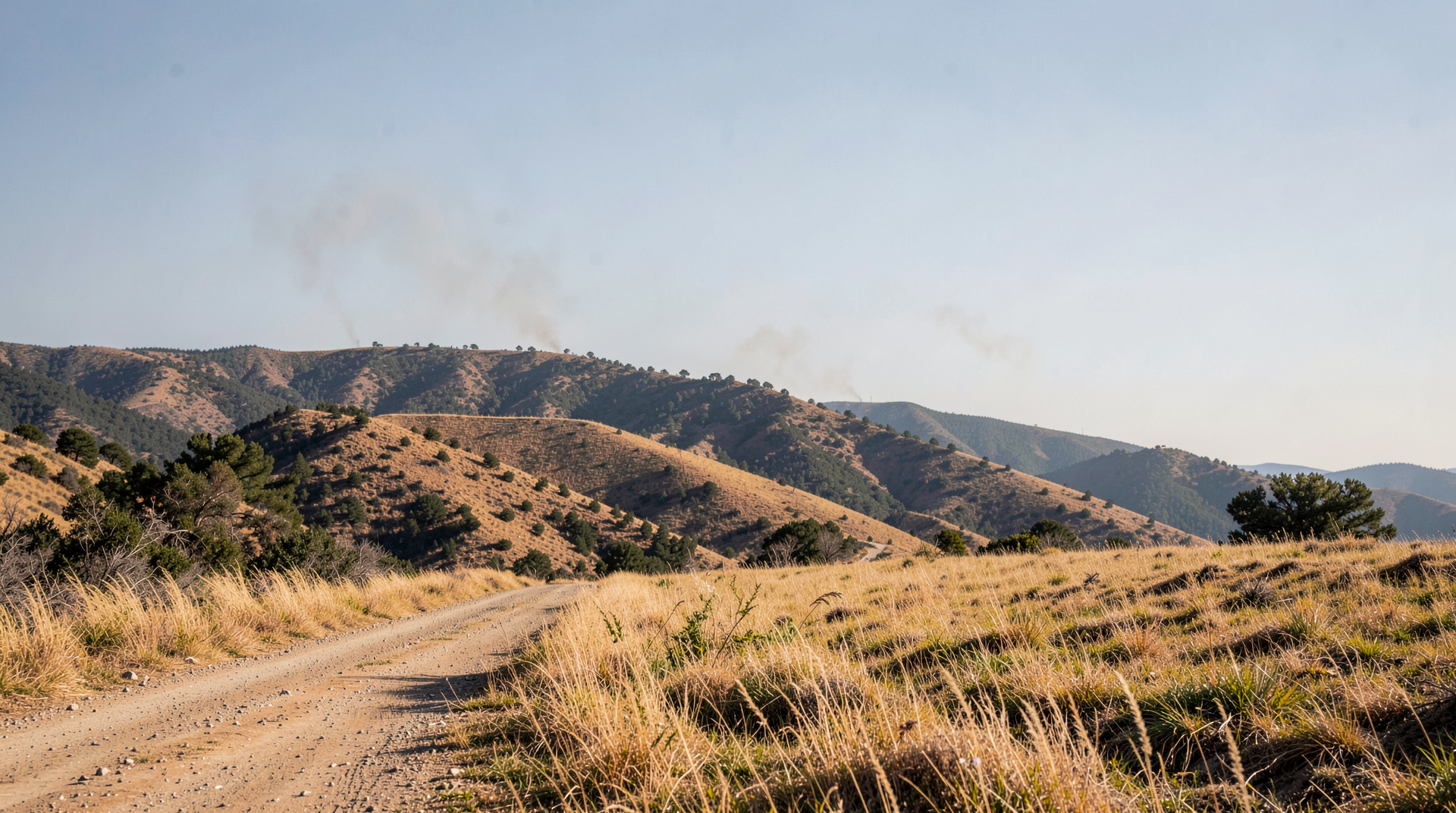 A Siskiyou County ridge line on a Tuesday morning with two thin plumes of smoke visible at different bearings, golden dry grass in the foreground, a dirt fire-road running empty across the frame, no visible fire crews.