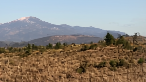A hillside in Siskiyou County with light smoke rising through manzanita and pine, a ranch fence in the foreground, Mount Shasta visible in distance