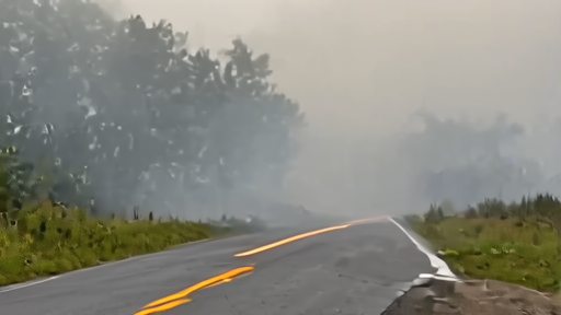 Georgia fire engine on a smoky pine road near wildfire flames