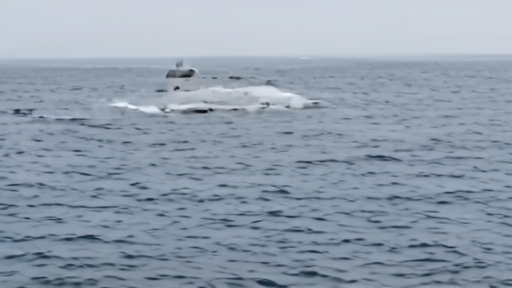 Research vessel tracking a distant right whale mother and calf under gray Atlantic light