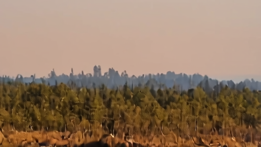 Pine forest under a low brown smoke band stretching across a south Georgia horizon, charred underbrush in the foreground, fire crew vehicles parked along a sand road.