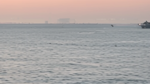 Wide shot of a US Navy amphibious assault ship at dusk in the Arabian Sea, helicopters on deck, the haze of the Strait of Hormuz visible in the distance.