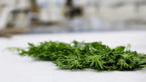 Cannabis plant leaves under analytical instrument lighting in a research lab with chromatography equipment behind.