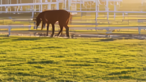 A chestnut three-year-old colt being walked at Keeneland under early-morning light