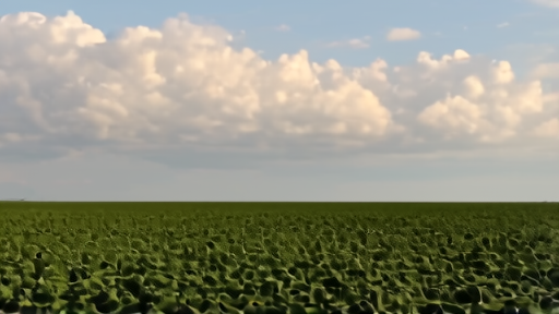Vast soy fields in Mato Grosso Brazil under a hazy afternoon sky with clouds building on the horizon