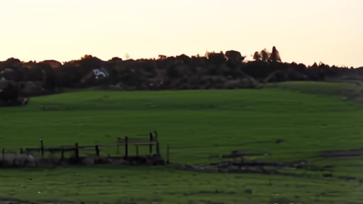 A late-afternoon view of a rural Waikato farm with rolling green pastures, a wooden gate at a paddock entrance, late autumn light, no people.