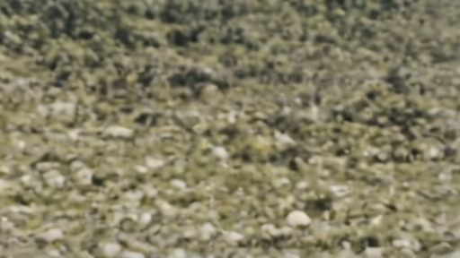 Documentary scene representing ted turner's conservation legacy still outruns his cnn obit