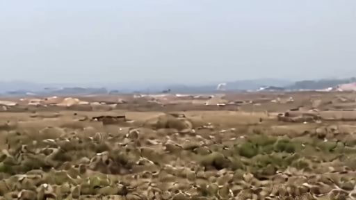 Documentary scene representing zahrani evacuation turns geography into the ceasefire test