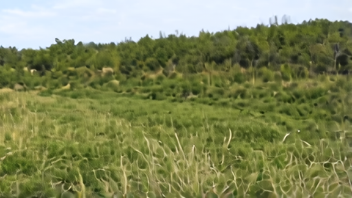 Documentary scene for Bear Final Season Still Belongs to Hulu