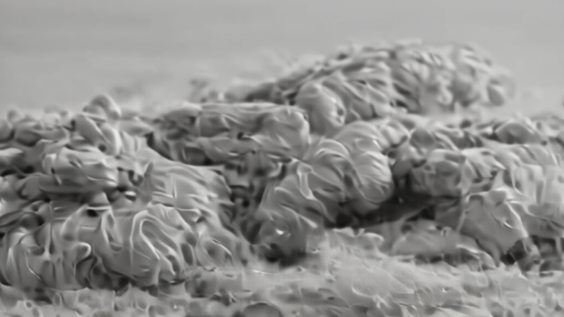 Documentary scene for Sea Silk Science Needs Craft Context