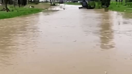 A flooded suburban street with residents moving belongings from a basement doorway
